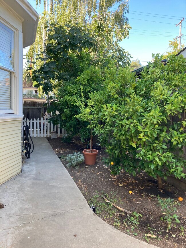 Building Photo - 1610 California St