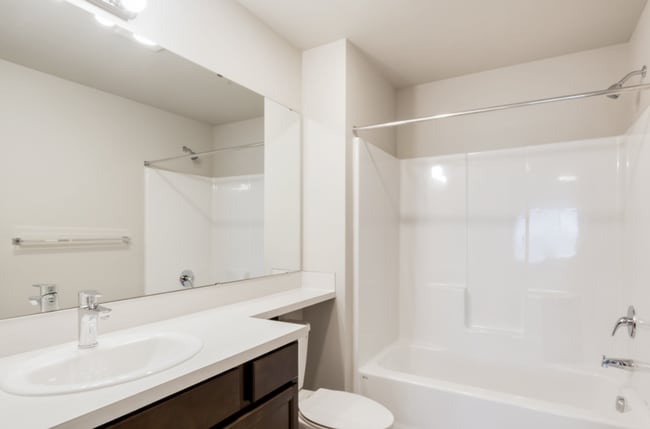 Building Photo - Newly Built 4bd 2.5ba in LSSD