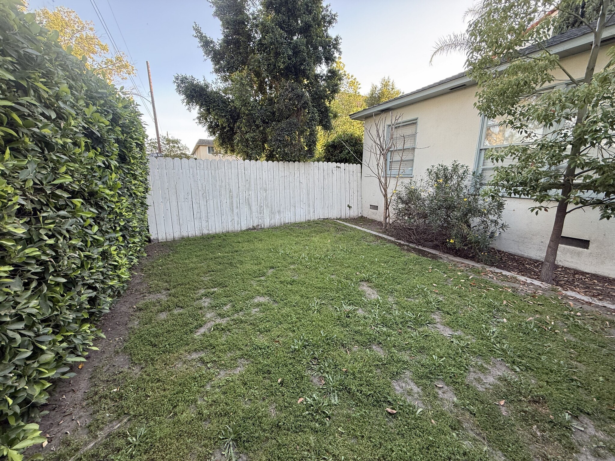 Hedged Front Yard - 10901 Huston St