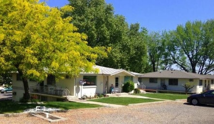 Primary Photo - The Grove