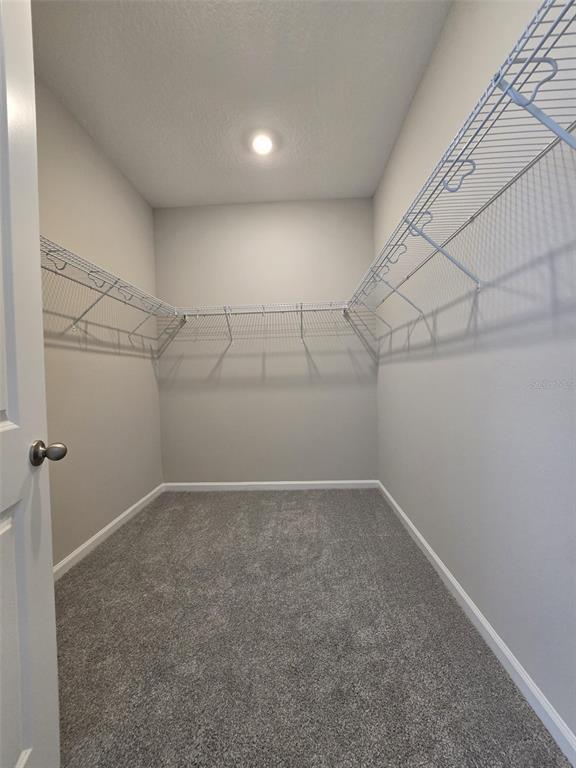 Building Photo - 1434 Maddie Berry Ln