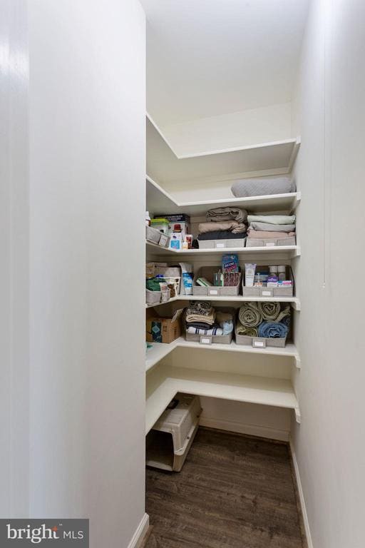 Building Photo - 2104 Cartwright Pl