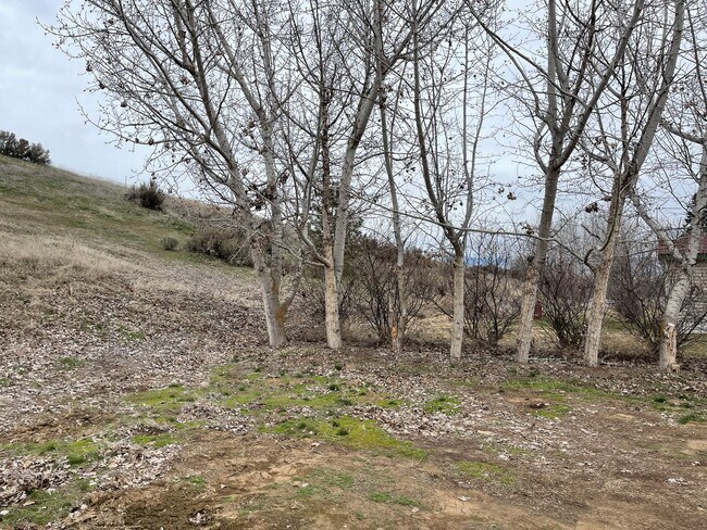 Building Photo - 3 Bed 2 Bath Home on Property Available for Lease
