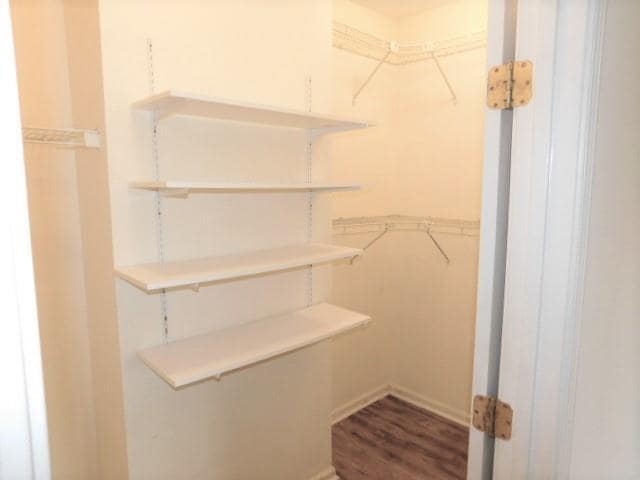 Building Photo - 2700 Pine Tree Rd NE