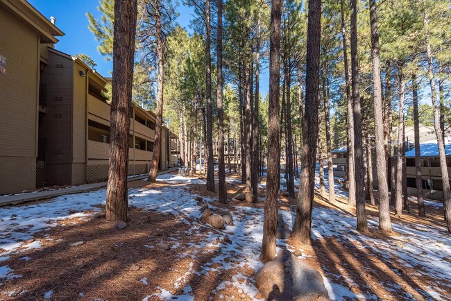 Building Photo - West-Flagstaff Condo in the Arbors - 2 Bed, 2 Bath - Students OK! 1 Sm. Pet OK! Avail. July 10th!!
