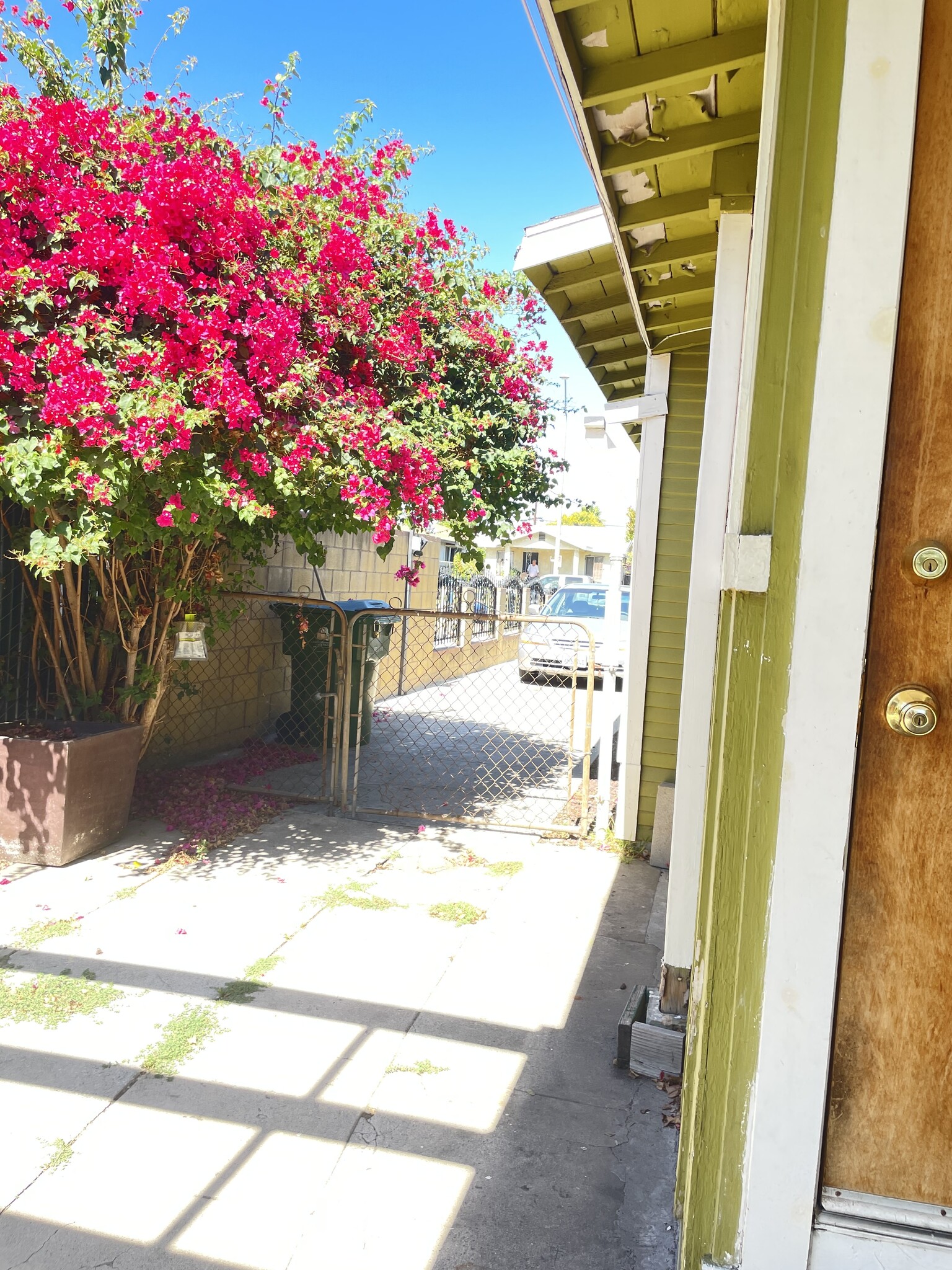 Building Photo - 3560 Opal St