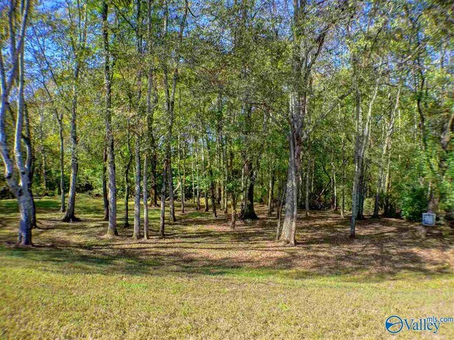 Building Photo - 2031 Blake Bottom Rd NW