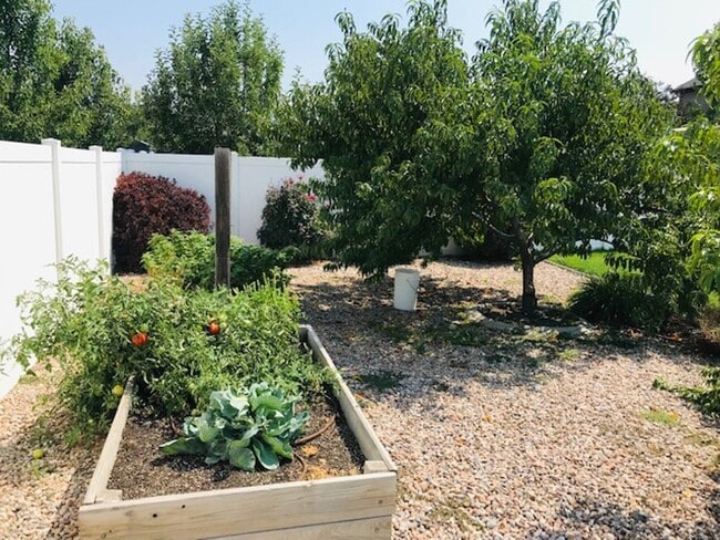 Building Photo - Beautiful home in North Salt Lake with large patio, deck and garden area