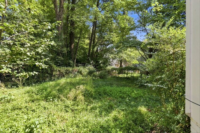 Building Photo - Plaza Midwood/Noda Duplex Property