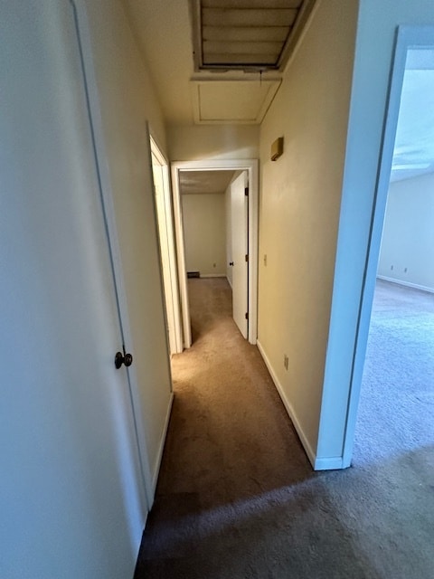 Building Photo - 1442 Sandy Cir