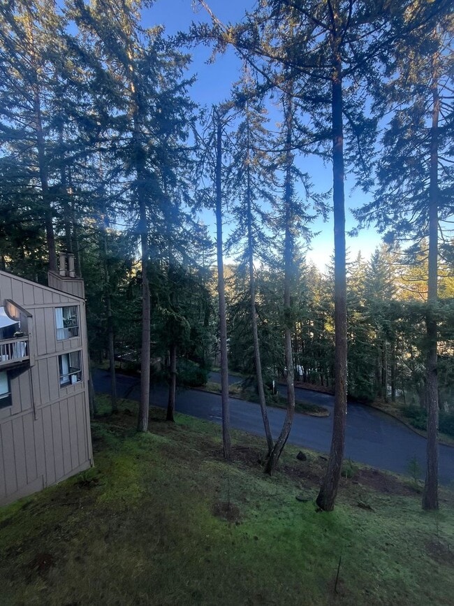 Building Photo - 2-Bedroom 2-Bathroom Condo in the Trees!!!!