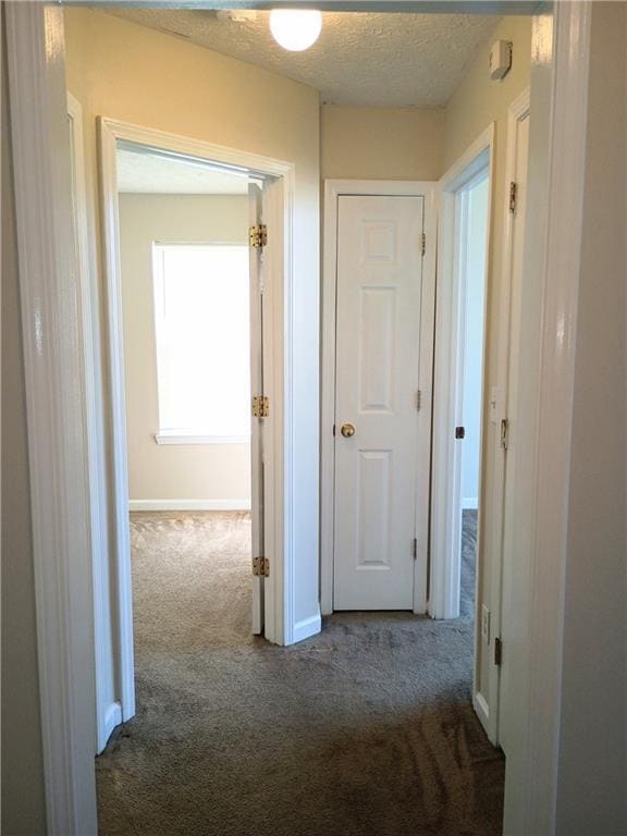 Building Photo - 173 Floresta Dr