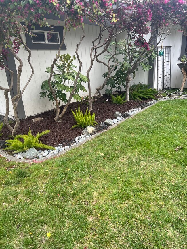 Building Photo - 1216 Spruce Tree Cir