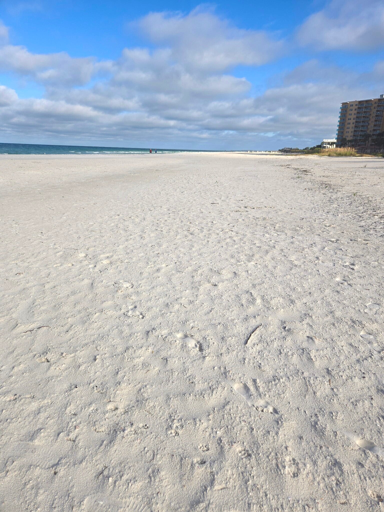 Building Photo - 877 Bruce Ave