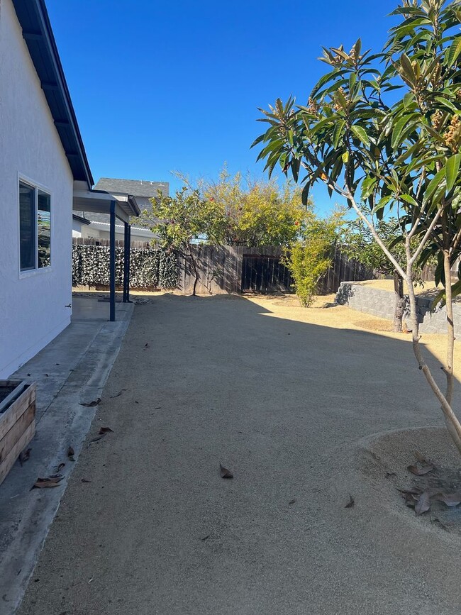 Building Photo - Newly renovated Beauty!