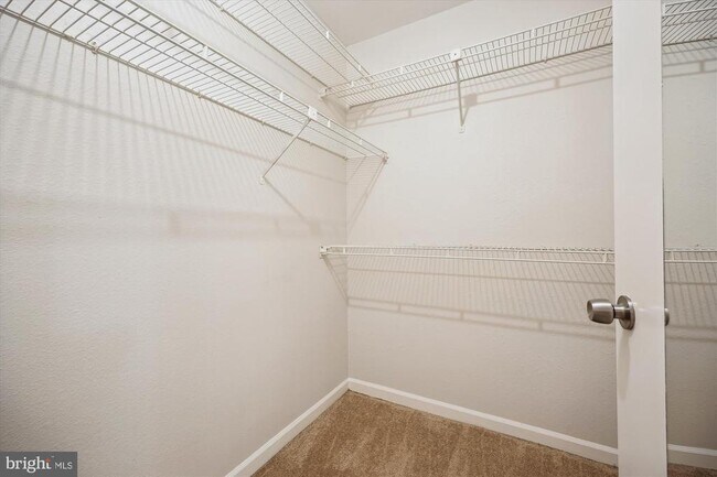 Building Photo - 10703 Hampton Mill Terrace