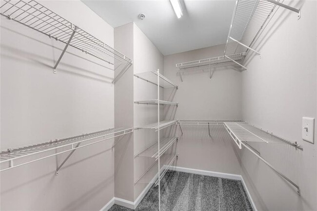 Building Photo - 268 Balaban Cir