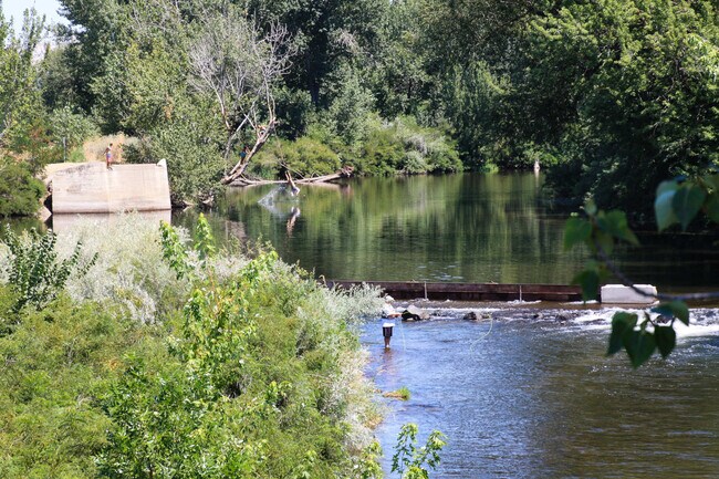 Building Photo - 11352 W Wild Aster St