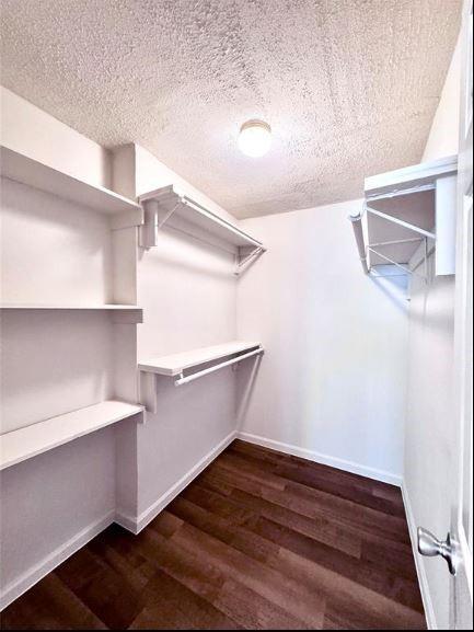 Building Photo - 9110 Gustine Ln