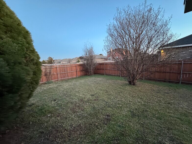 Rear Yard - 1814 McNeely St