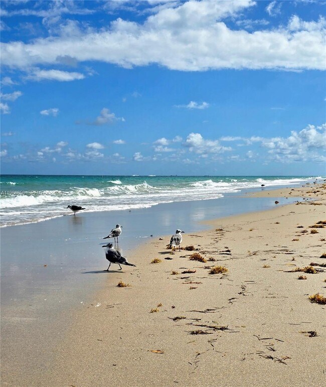 Building Photo - 10175 Collins Ave