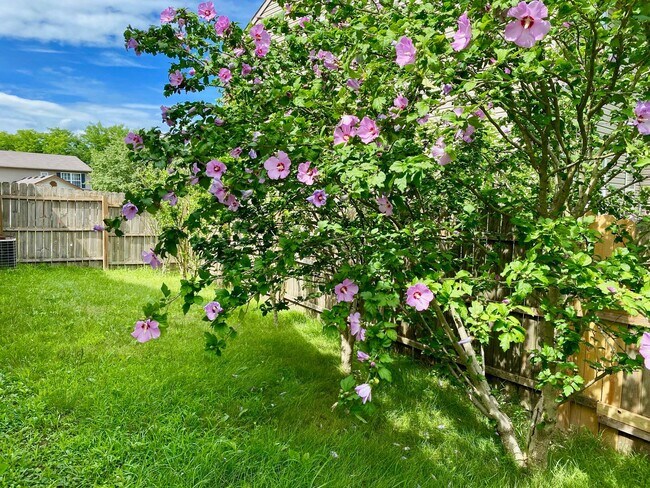 Building Photo - COMING SOON!! Great 3 Bedroom 2 Bathroom R...