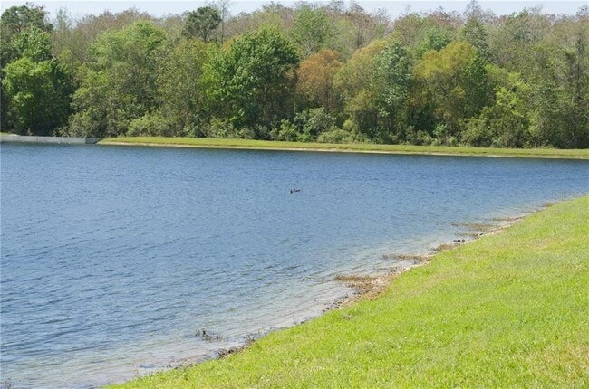 Building Photo - 6448 S Goldenrod Rd