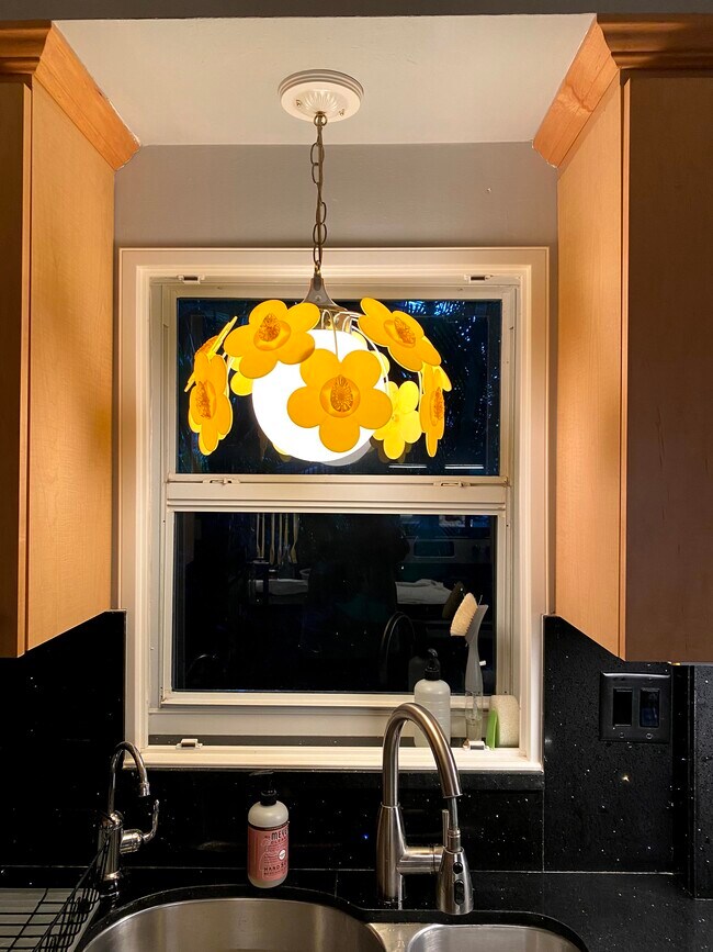 Sweet view of tropical courtyard from sink - 6520 N Ocean Blvd