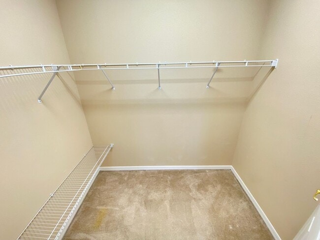 Building Photo - 519 Terrace Spring Dr