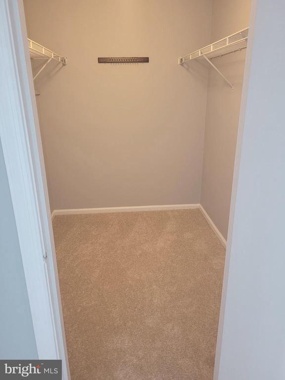 Building Photo - 206 Oliphant Ln