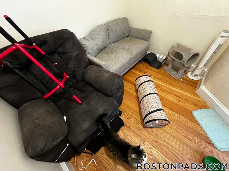 Building Photo - 244 Kelton St