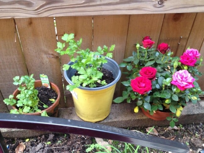 Building Photo - 1601 S Shepherd Dr