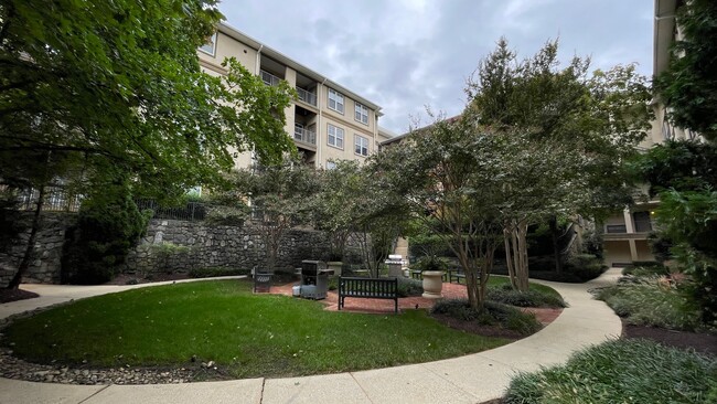 Primary Photo - Lavish 1 BR/ 1 BA Condo in Bethesda!