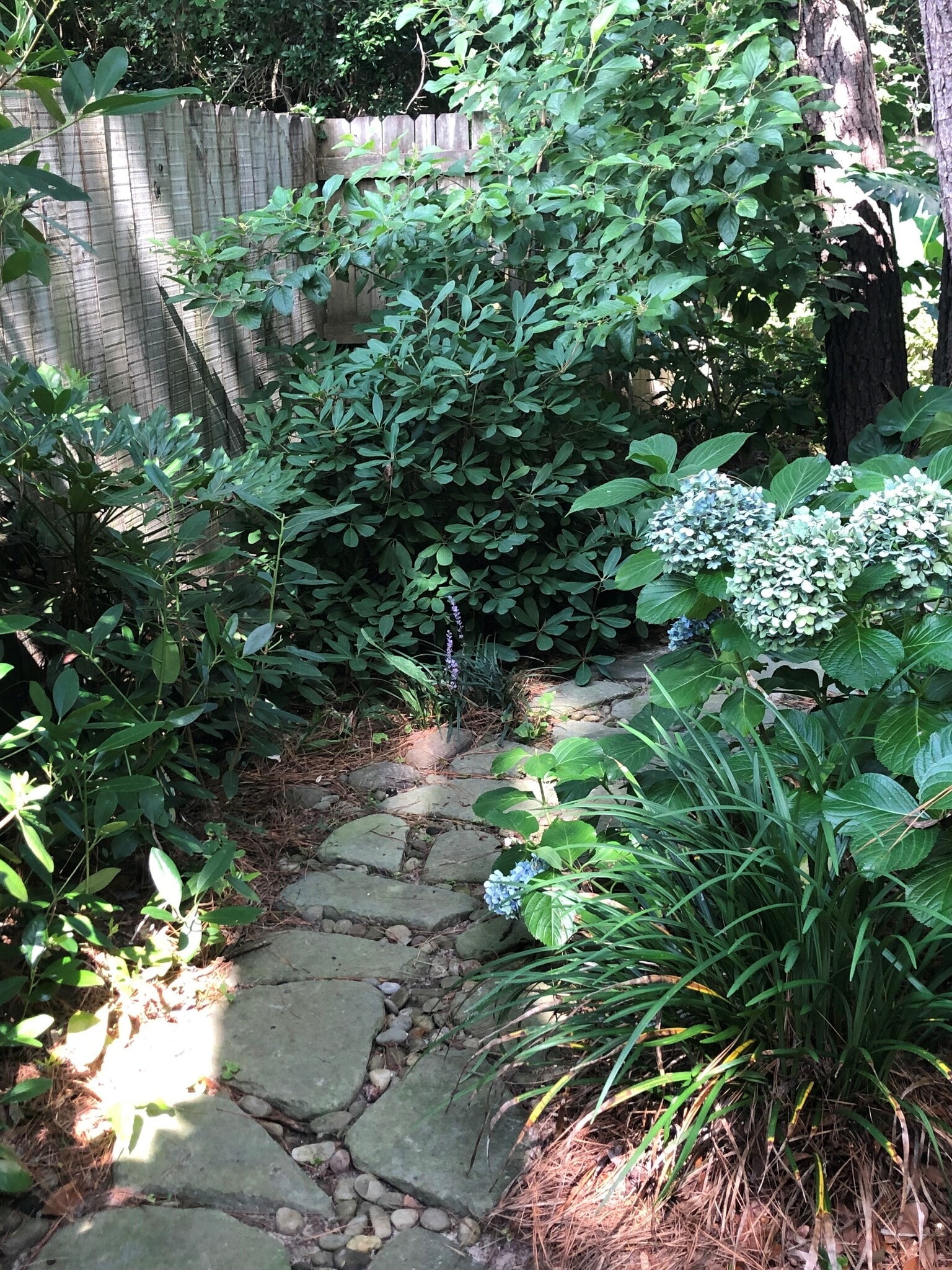 Building Photo - 3606 Walkers Ferry Ln