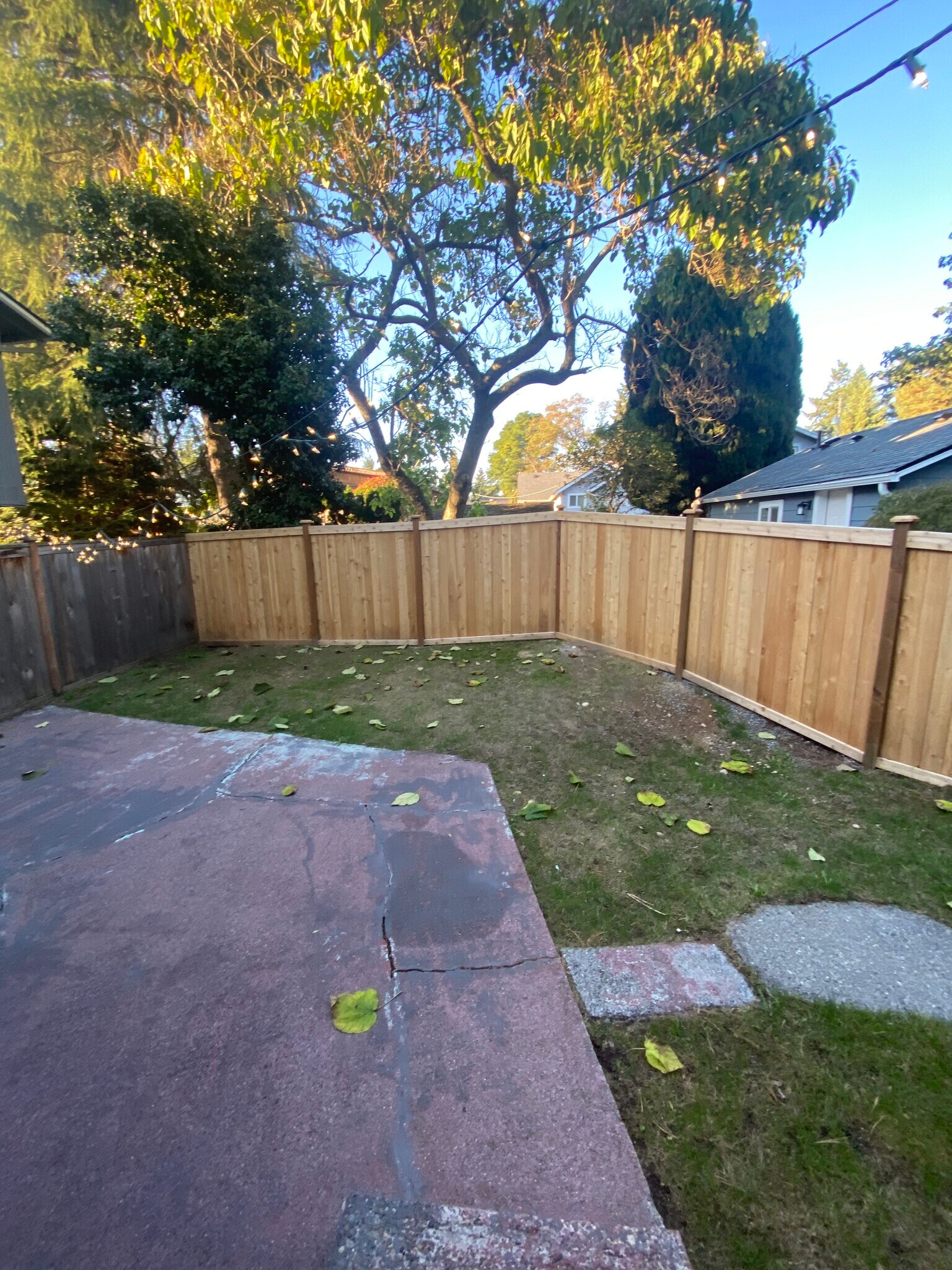 back patio and yard - 1036 SW 149th St