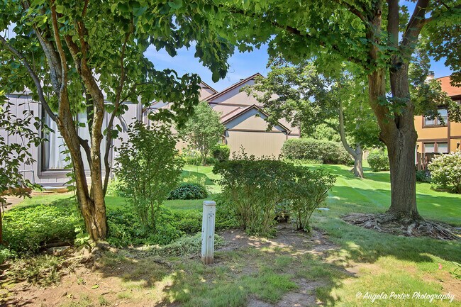 Building Photo - 246 Shadow Bend Dr