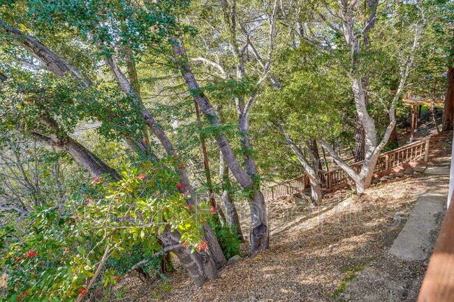 Building Photo - 3322 Shasta Dr