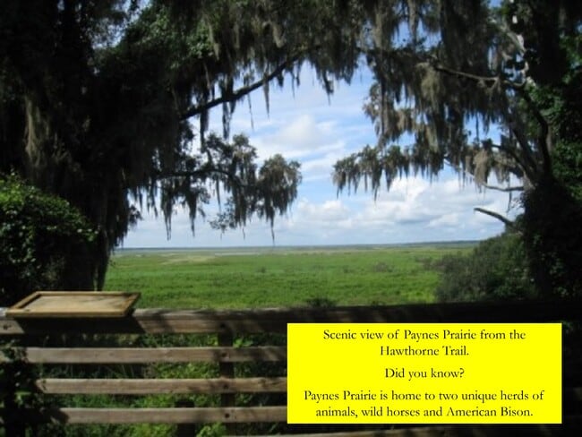 Building Photo - 835 SW 9th St