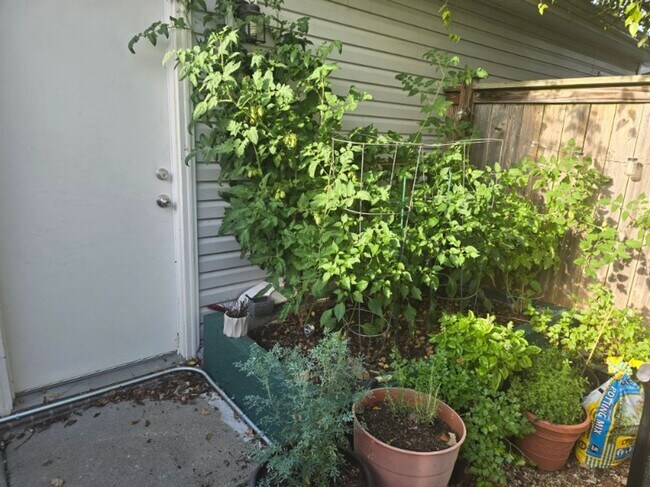 Building Photo - 1804 Riverbirch Ln