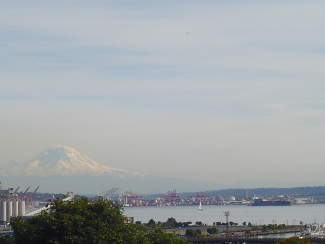 View of Mt Rainer from Deck - 2215 W Raye St