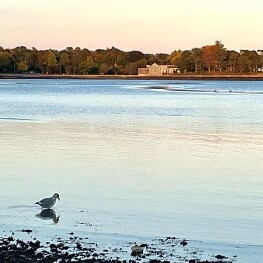 Building Photo - 9 May St