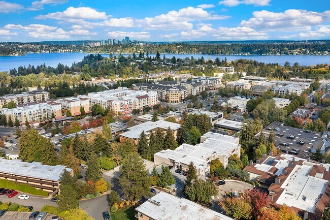 Building Photo - Top Floor Condo with Skyline Views in Merc...
