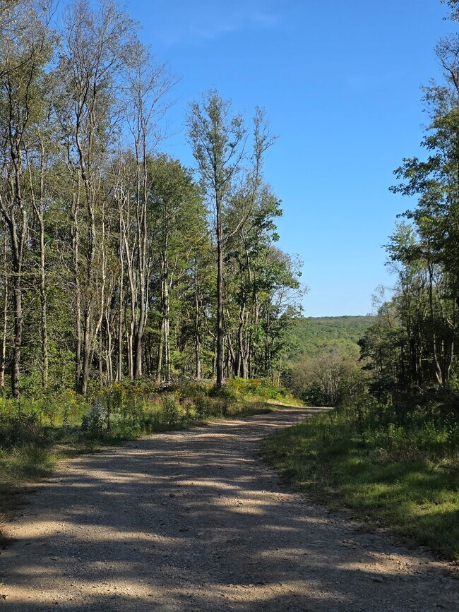 Building Photo - 207 Hawk Run