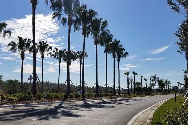 Building Photo - 2906 Suncoast Plains Dr