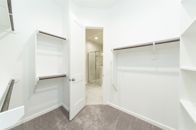 Building Photo - 4538 Primrose Valley Ln