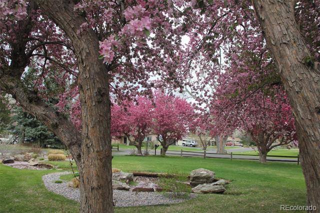 Building Photo - 33 Skyline Dr