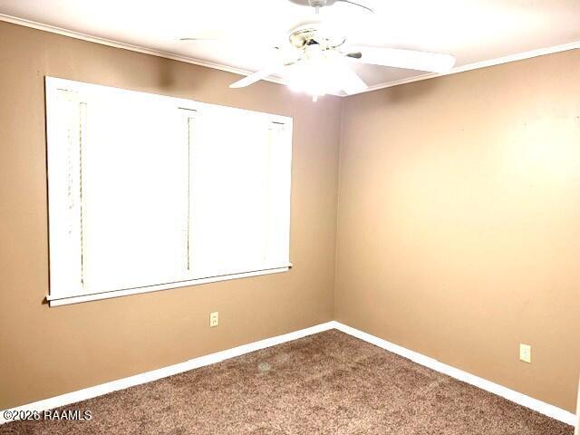 Building Photo - 103 Holly St