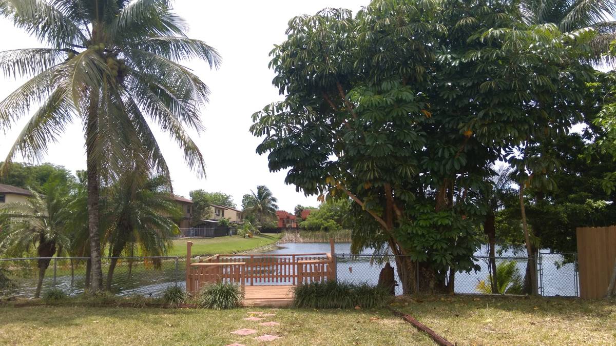 back yard - 6641 SW 127th Path