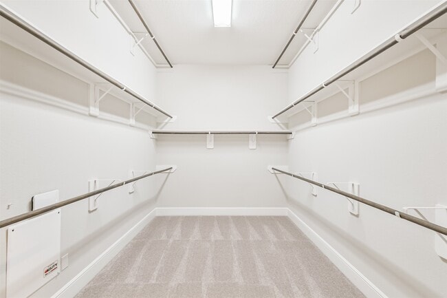 Building Photo - 210 Liatris Ct