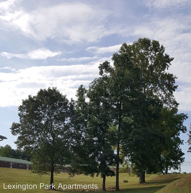 Building Photo - 1 br, 1 bath Apartment - 130 Hill Everhart Rd